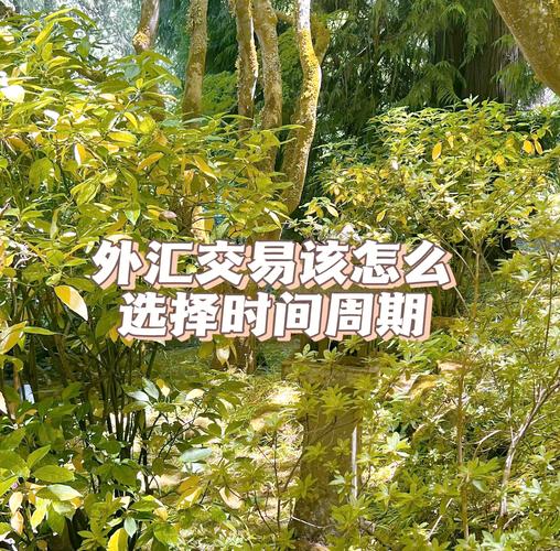 外匯車網站—海外進口車專業平台：外匯車選購指南與車源推薦