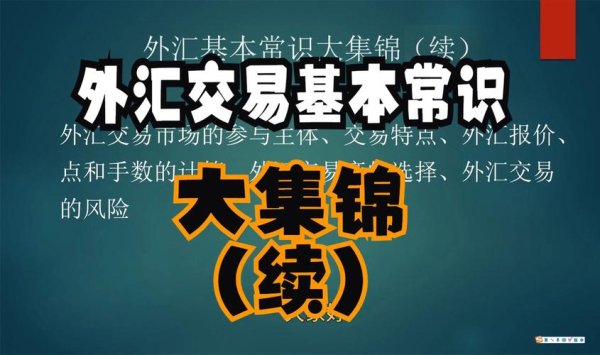 外匯存底是什麼外匯存底定義與運作機制全解析
