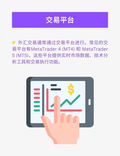 外匯雙b,外匯雙B交易策略解析與市場實戰操作指南