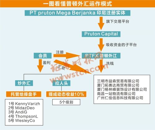 玉山外匯帳戶玉山外匯帳戶專業資金管理與全球匯兌服務指南