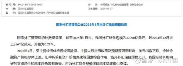 中央銀行外匯申報(中央銀行2023年外匯申報業務指引)