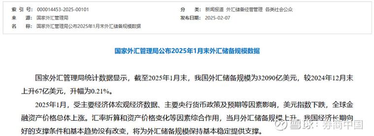 中央銀行外匯申報(中央銀行2023年外匯申報業務指引)