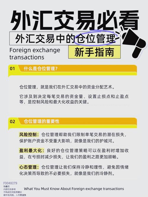 530imsport外匯-530imsport外匯專業投資策略全解析指南
