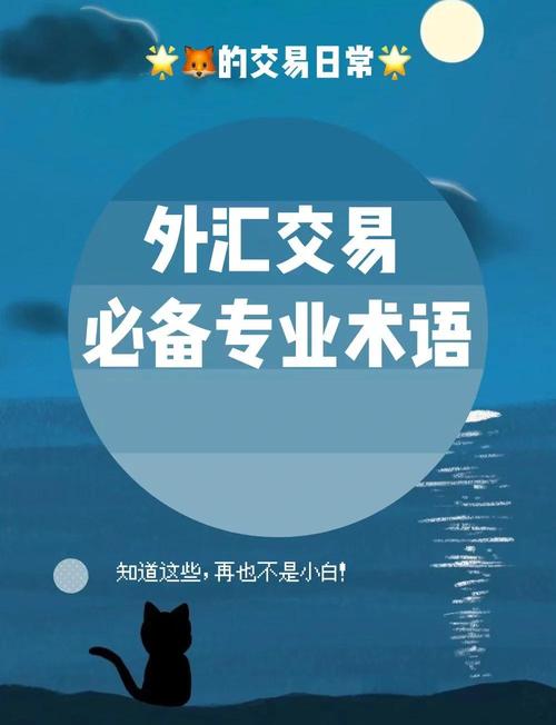 外匯英文_外匯英文專業術語解析與應用指南