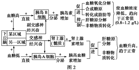 外匯重點整理及試題解析外匯考點全解與實戰試題精析