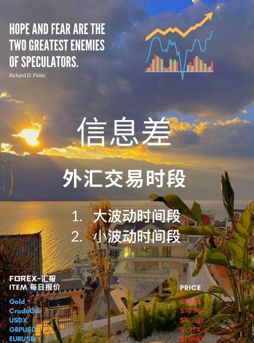 外匯選擇權(外匯選擇權避險策略與實務指南)