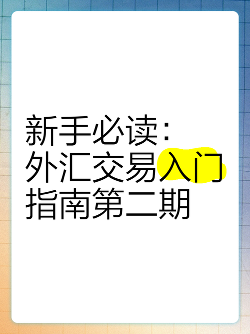 華南外匯帳戶;華南外匯帳戶專業管理與跨境投資操作指南
