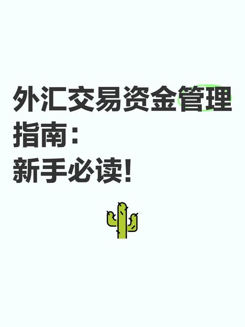 外匯提款_外匯提款實務指南：資金提取流程與風險管控策略解析