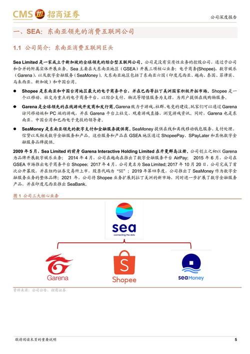 SE股票2025年暴涨背后：东南亚电商巨头Sea Limited财报超预期分析师深度解读+数据对比