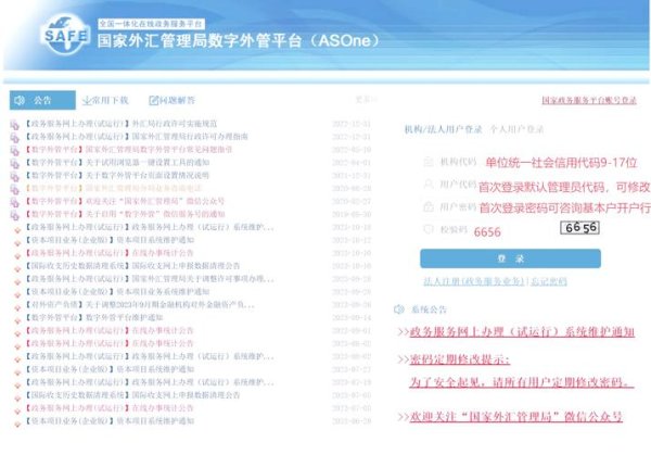 外匯性質申報外匯性質申報實務指南與規範要點
