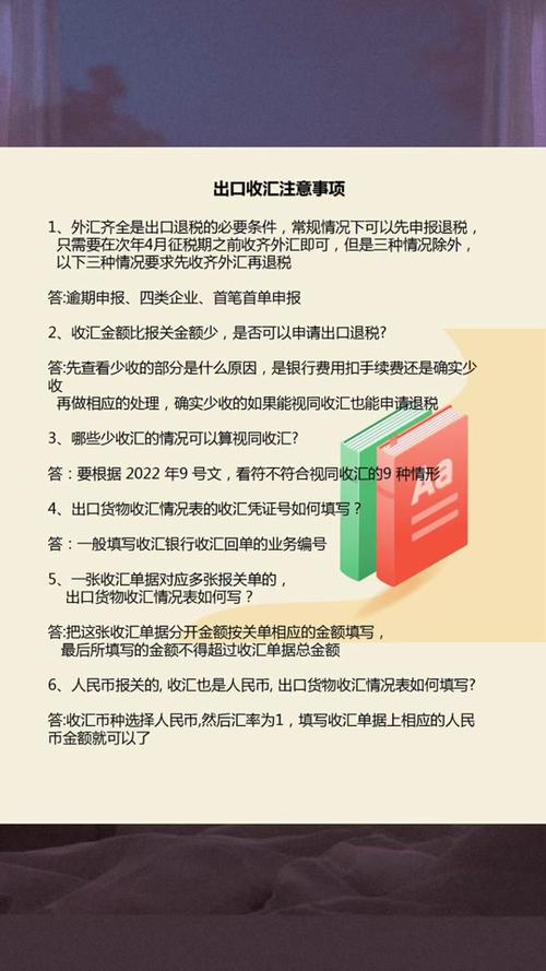 外匯性質申報外匯性質申報實務指南與規範要點