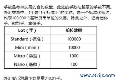 外匯權證(外匯權證槓桿交易策略與風險管理解析)
