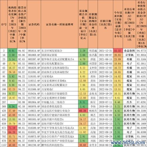 〈神基股票有哪些？2024中小盘平替基金TOP5〔专家推荐〕〉