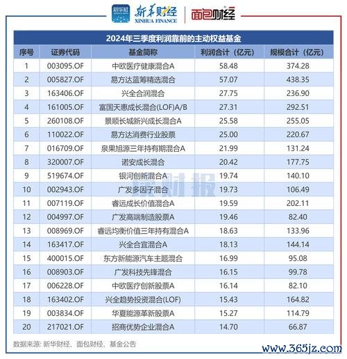 〈神基股票有哪些？2024中小盘平替基金TOP5〔专家推荐〕〉