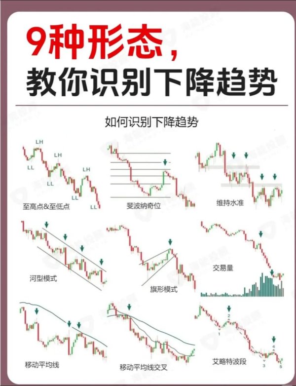 輔大外匯競賽;輔大外匯競賽奪冠必備交易策略全解析