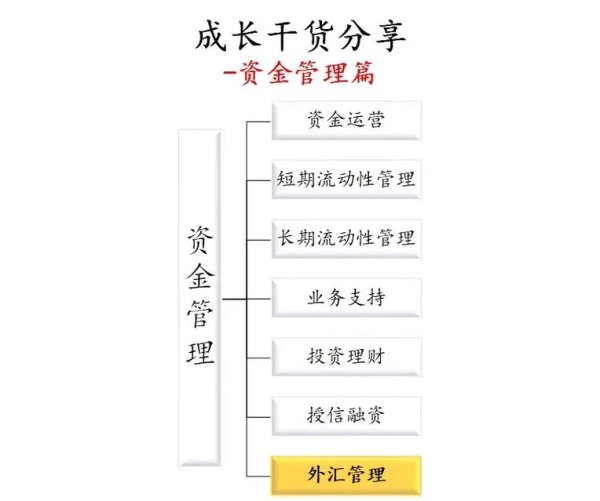 外匯交易與資金管理—外匯交易資金管理核心策略與風險控制