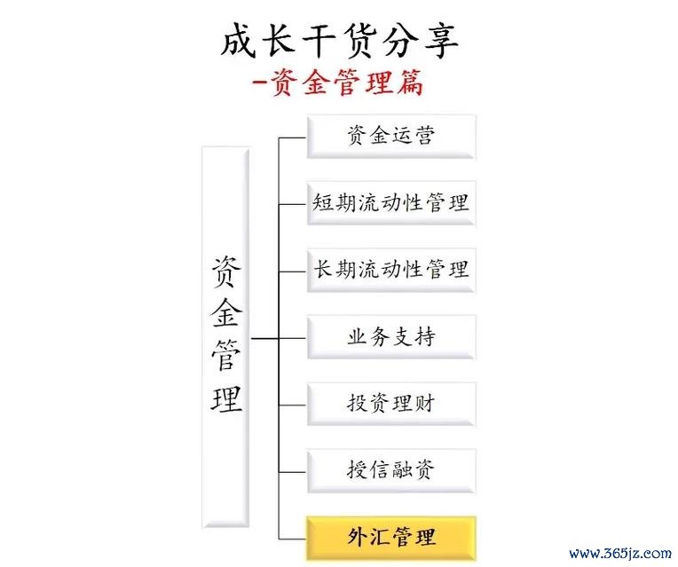 外匯交易與資金管理—外匯交易資金管理核心策略與風險控制