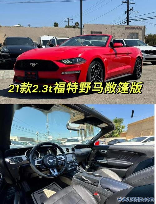mustang外匯車 福特野馬外匯車專業評測與選購指南全面解析