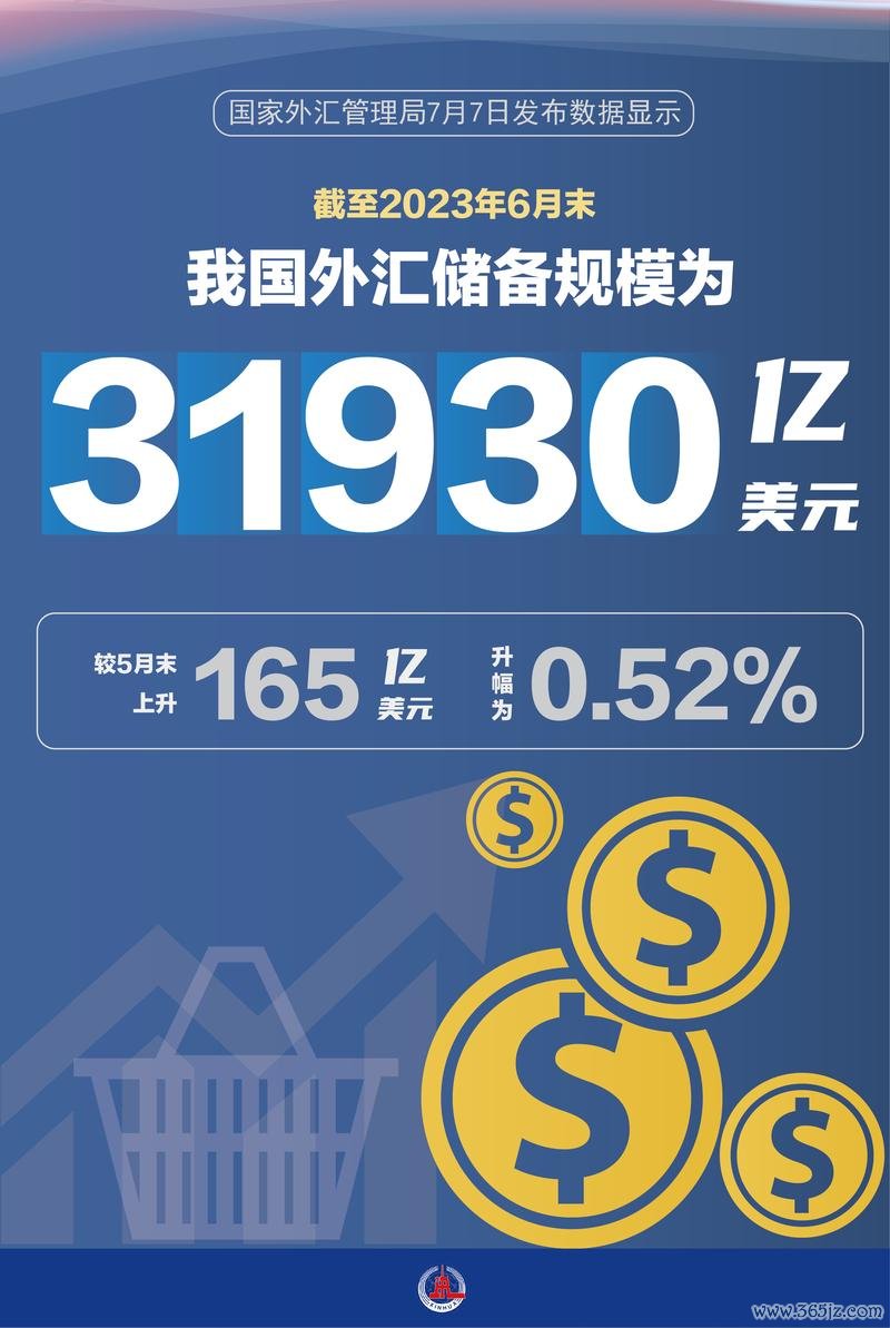 什麼是外匯存底;外匯存底解析：國際儲備資產與管理策略