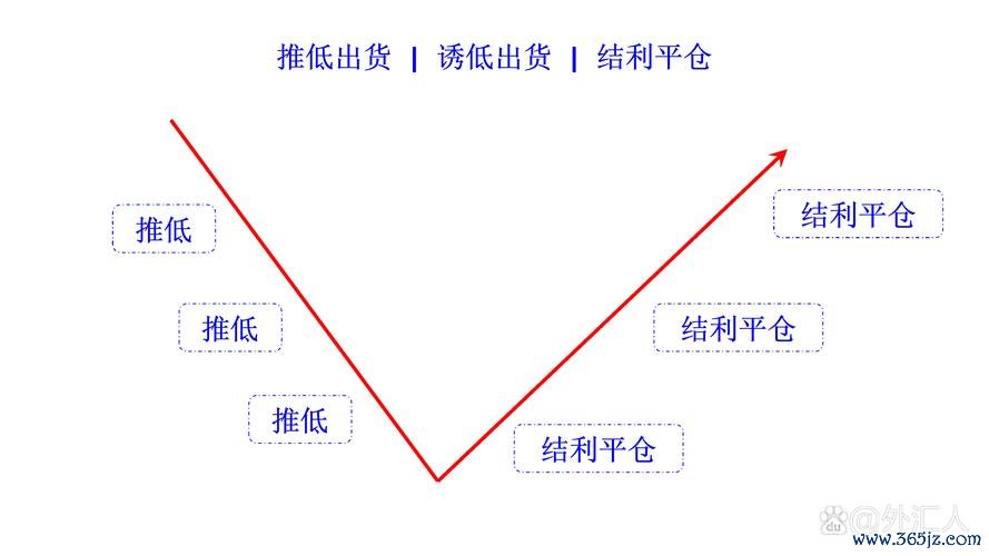 外匯平台—專業外匯平台投資策略與市場優勢