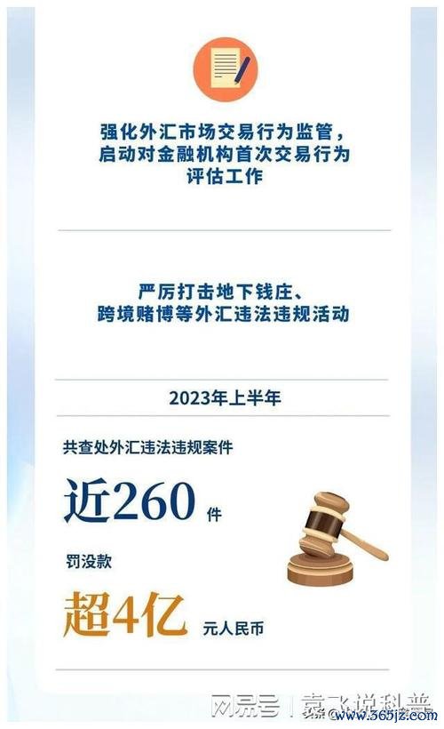 外匯青年軍判刑(外匯青年軍判刑案審結 法律責任與金融監管引熱議)