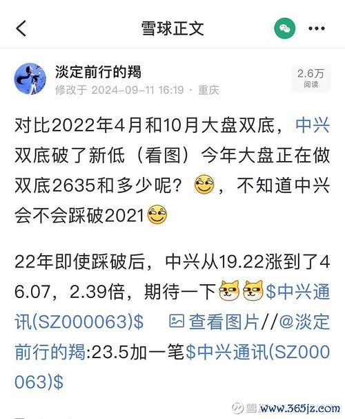 中興通訊股票投資必看：營收下滑與資金連6日流出2024財報解析+港股A股對比