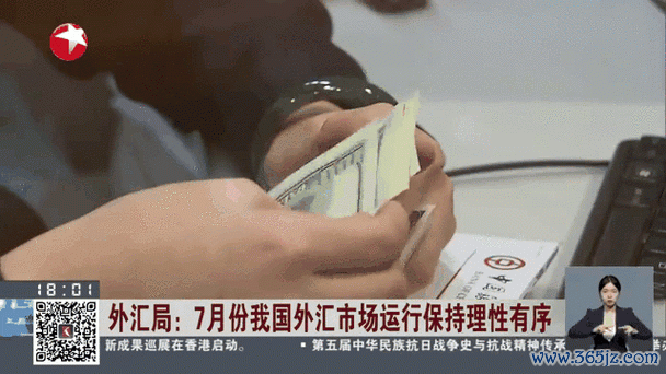 飛狼外匯《飛狼外匯專業指南：全球市場動態與投資策略解析》