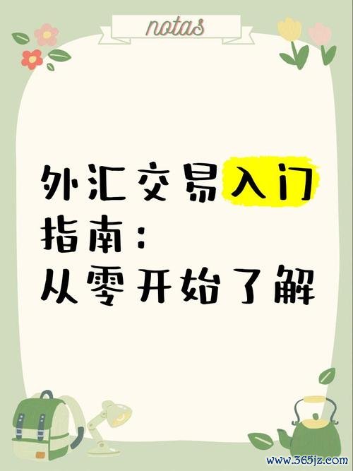 初階外匯人員 外匯市場新手入門指南：基礎知識與實戰操作要點解析