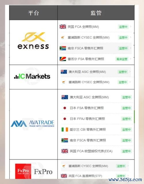 美國外匯車網站(美國外匯車進口實務解析與專業選購平台)