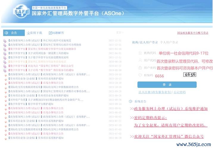 外匯初階人員,外匯初階入門指南：市場分析與風險管控