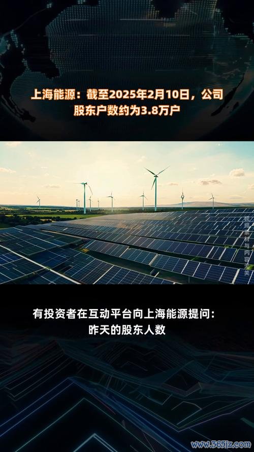 力晶未上市股東自救策略全解析2025台灣小股東實戰指南