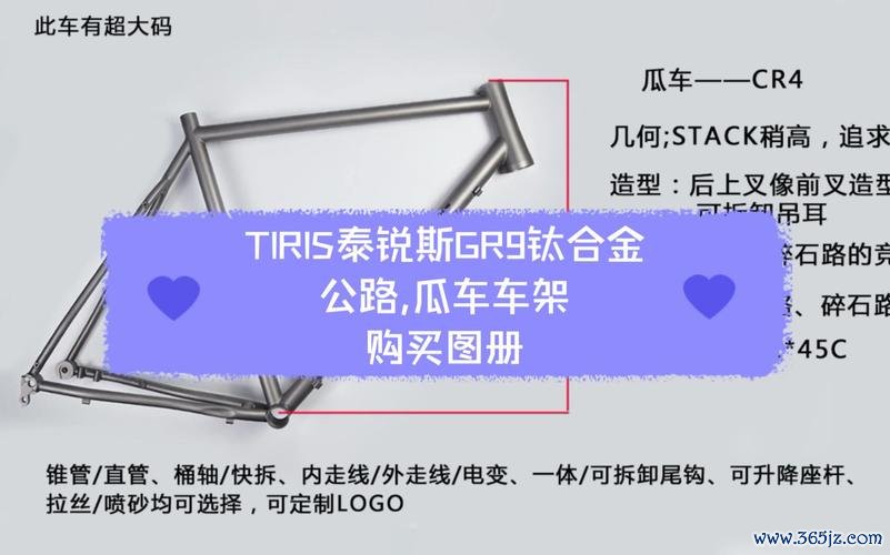 銳斯國際貿易進口商台中外匯車商 銳斯國際貿易台中專業外匯進口車商首選