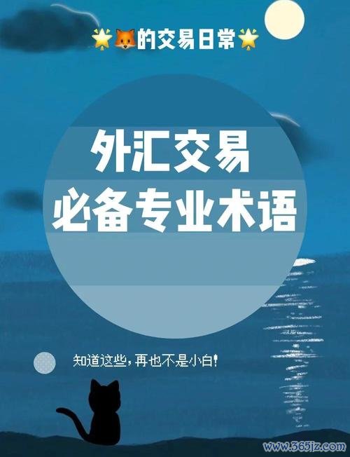 231外匯—231外匯入門指南：關鍵術語解析與基礎技巧實戰