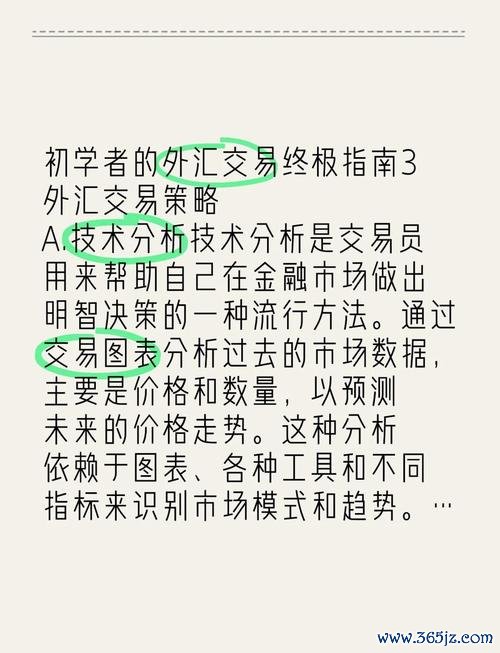 235i外匯_235i外匯交易困扰？高效策略助您稳定盈利