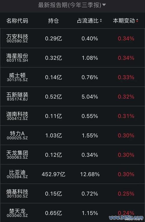 國賓股票投資策略全攻略：國家隊加倉動向+2025權威機構佈局清單