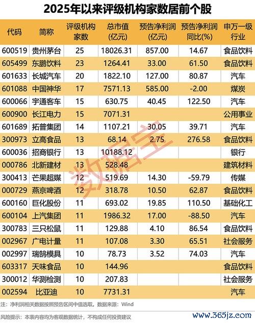 國賓股票投資策略全攻略：國家隊加倉動向+2025權威機構佈局清單