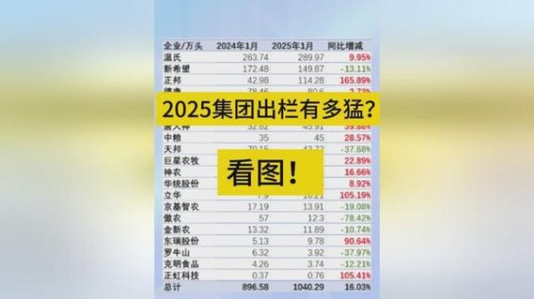 大亞股票好嗎？2025投資佈局解析專家觀點+數據預測