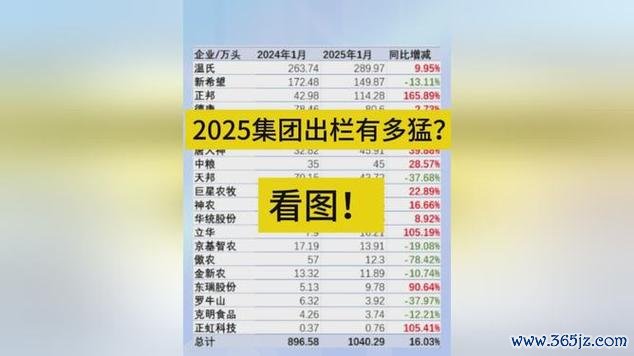 大亞股票好嗎？2025投資佈局解析專家觀點+數據預測