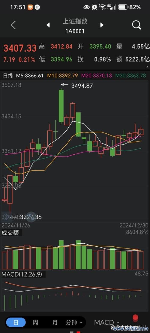 大亞股票投資潛力解析用本益比分析工具評估2024進場時機台灣存股族必看