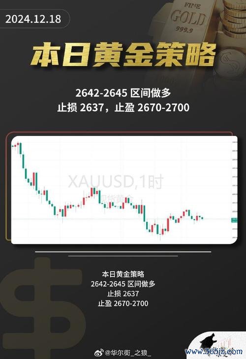 C63外汇价格波动预警2024避险策略揭秘稳赚技巧