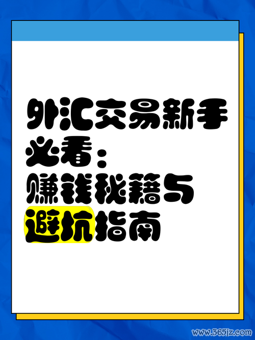 C250外汇安全吗？新手必看避坑指南与盈利秘籍