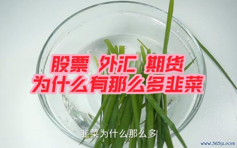 Camaro外汇交易可靠吗？2024投资避坑指南与新手必看策略