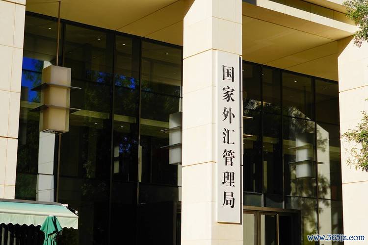 Firstrade外匯投資者必讀：24小時客服+隔夜交易攻略，掌握全球市場先機