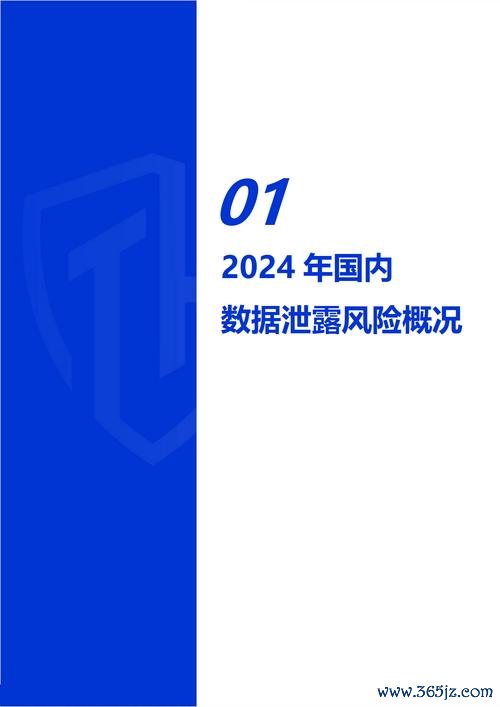 Metris外汇投资安全挑战：2024高效策略保障资金零风险