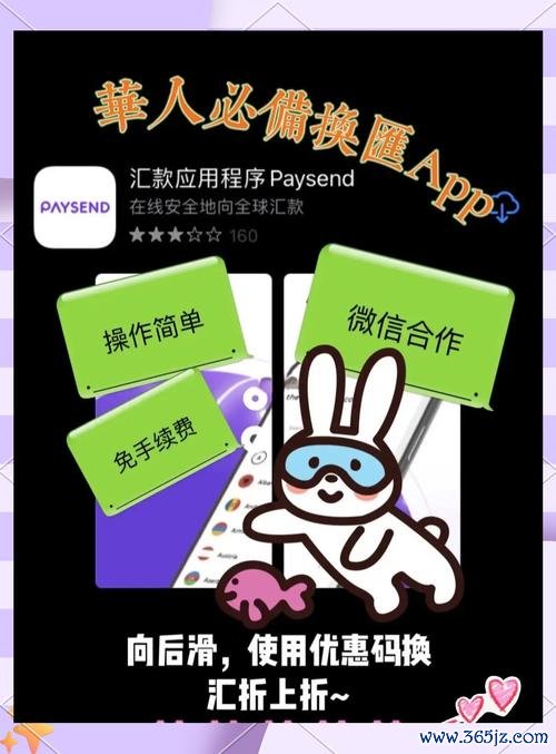 Panamera外匯高效換匯需求如何解鎖？專屬定制方案+實時數據支撐