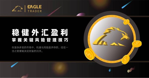 S63外汇交易风险应对策略解析：安全盈利指南与平台选择技巧
