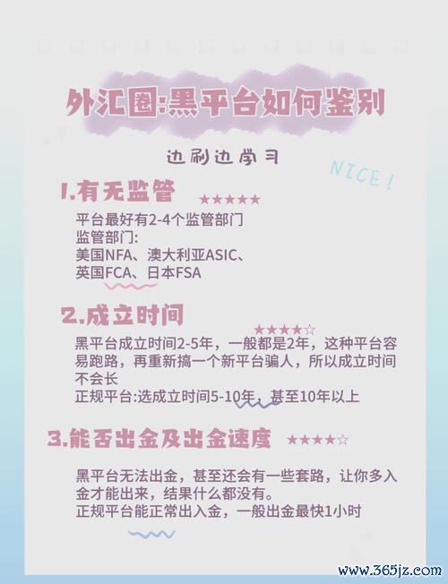 W213外匯投資陷阱？新手必學的避坑指南與策略