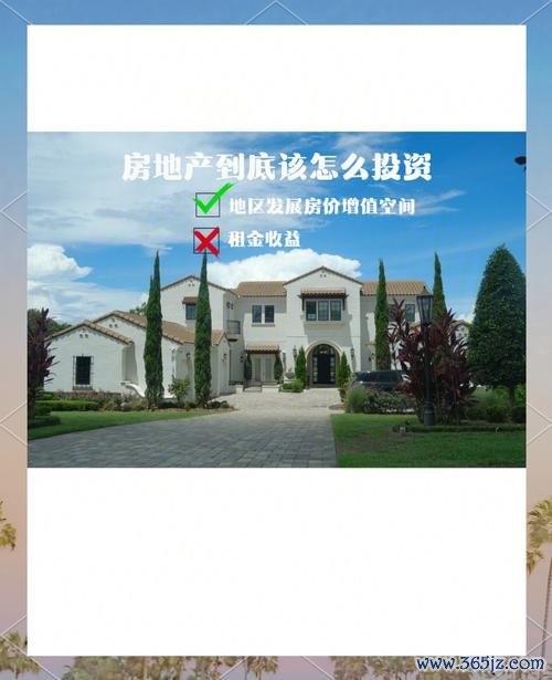 W213外匯投資陷阱？新手必學的避坑指南與策略