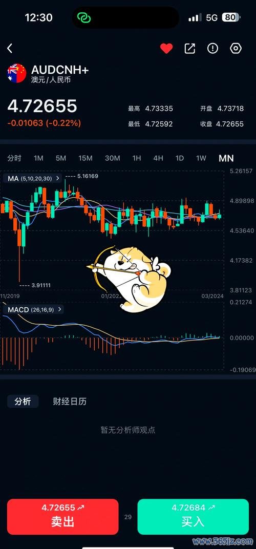 澳幣外匯 澳幣外匯波動加劇2024避險策略解密，資金安全如何保障？
