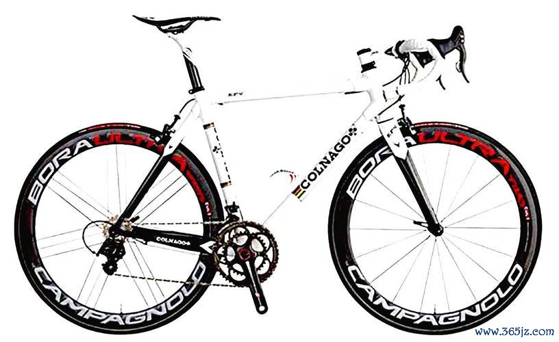 美利達股票Specialized股份減記1億美元2024財報解析與自行車鏈條關稅衝擊〔權威數據〕